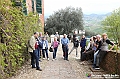 VBS_7377 - Mostra 'Albissola-Monteu Roero. Collezione piatti d'arte e antichi vasi da farmacia